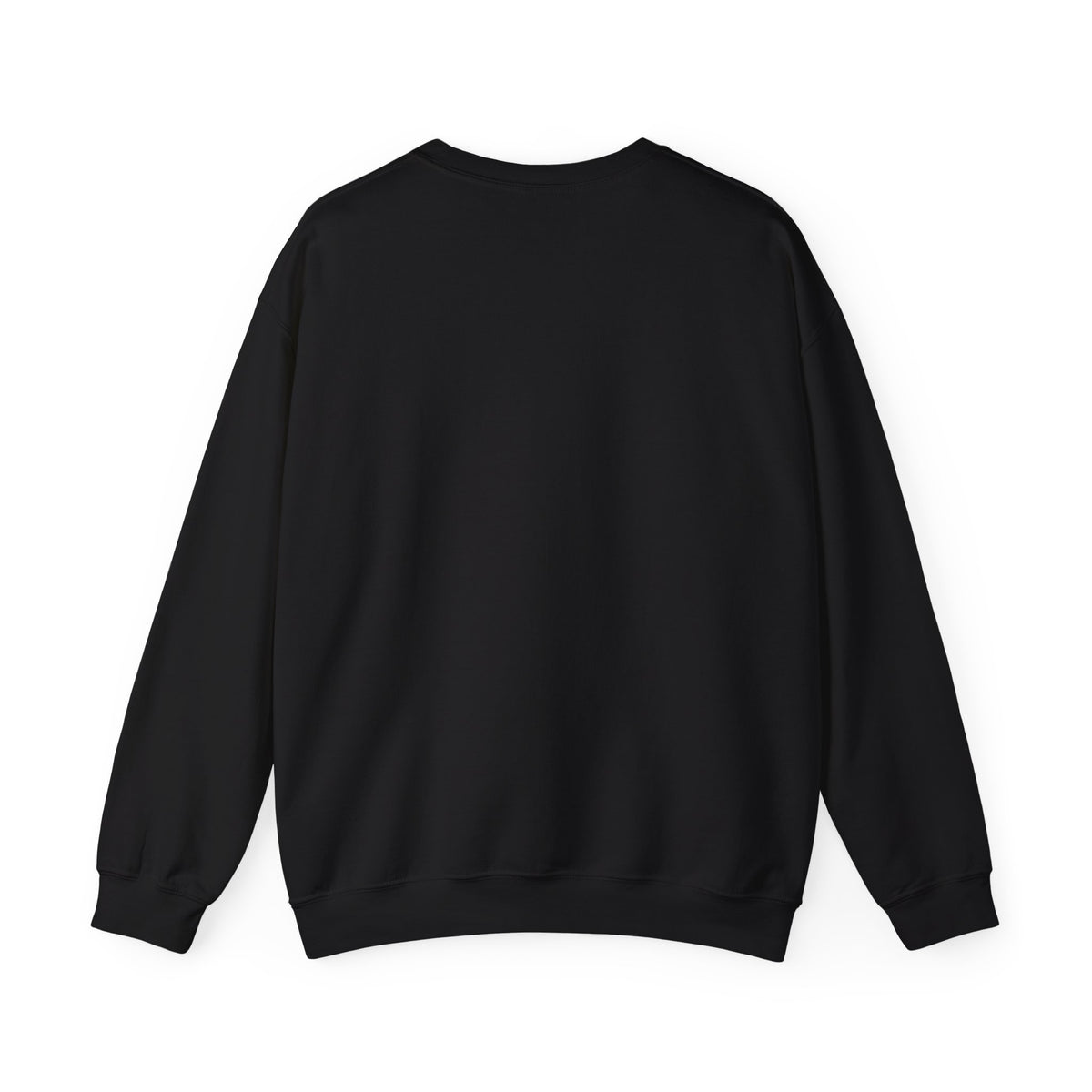 Crewneck Sweatshirt — &